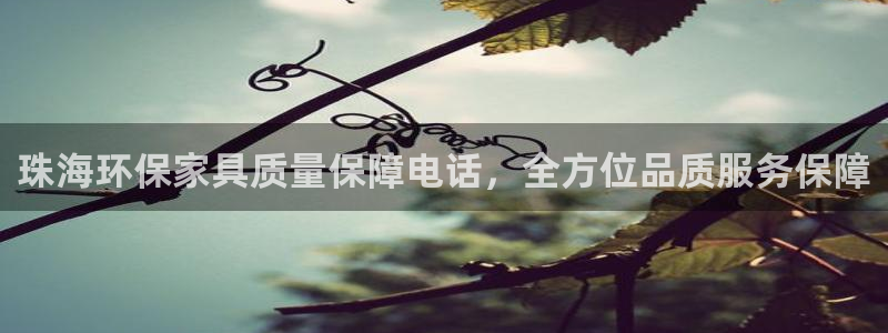 杏耀官网游戏：珠海环保家具质量保障电话，全方位品质服务保障