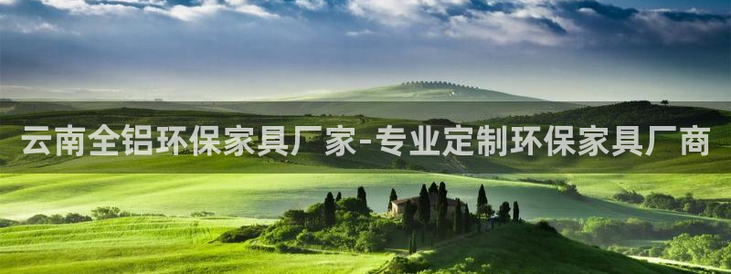 杏耀平台的专用通道
