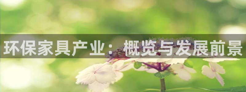 杏耀代理主管qq