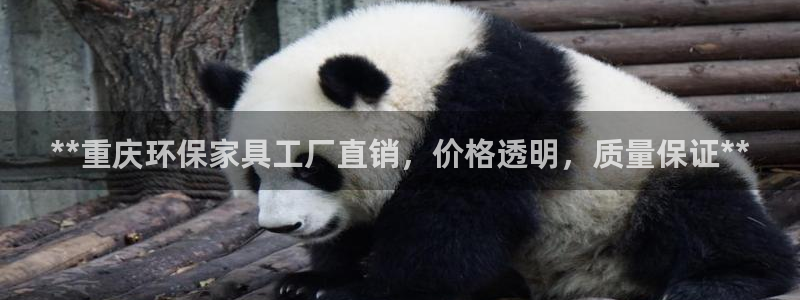杏耀平台登陆测速