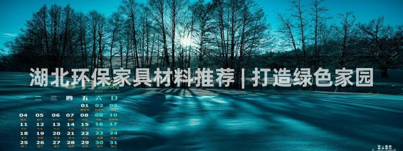 杏耀代理日工资多少