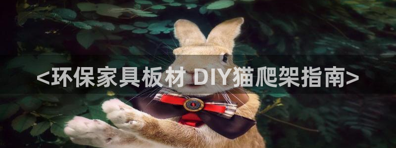 杏耀代理主管qq：<环保家具板材 DIY猫爬架指南>