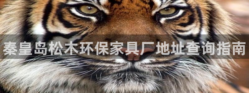 杏耀平台分红