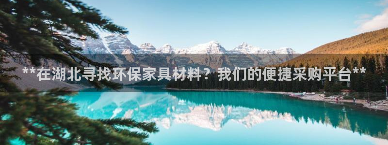 杏耀测速注册