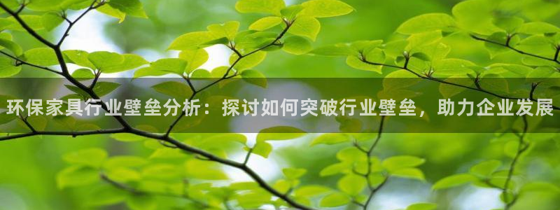 杏耀官方测速：环保家具行业壁垒分析：探讨如何突破行业壁垒，助
