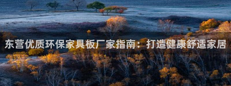 杏耀官网网站