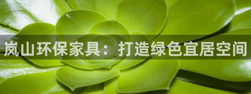 杏耀手机客户端：岚山环保家具：打造绿色宜居空间