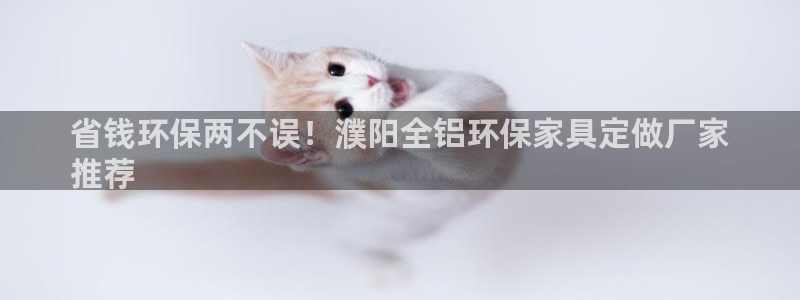 杏耀如何注册：省钱环保两不误！濮阳全铝环保家具定做厂家
推荐