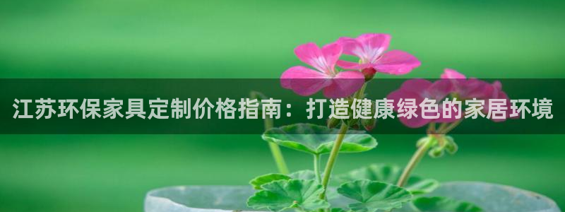 杏耀平台代理怎么赚钱快：江苏环保家具定制价格指南：打造健康绿